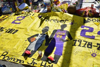 DSC_7138 (Large).JPG